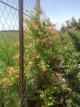 image (3)12